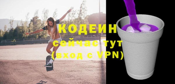 прущие грибы Вяземский