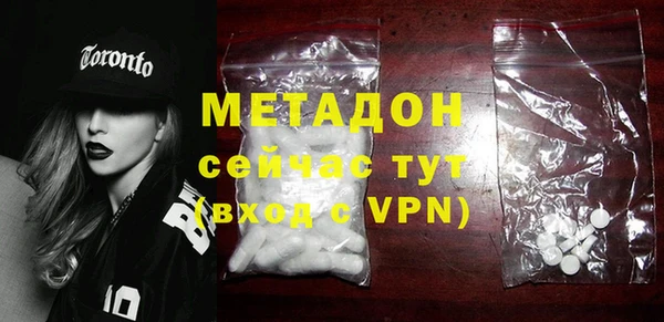 прущие грибы Вяземский