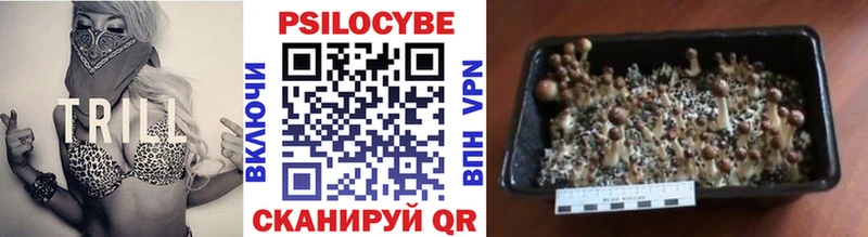 Галлюциногенные грибы MAGIC MUSHROOMS  blacksprut вход  Елизово  купить  цена 